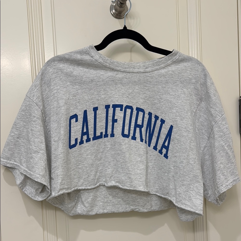 Brandy Melville Crop Top